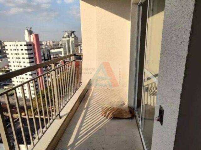 Apartamento para Venda em São Caetano do Sul - 5