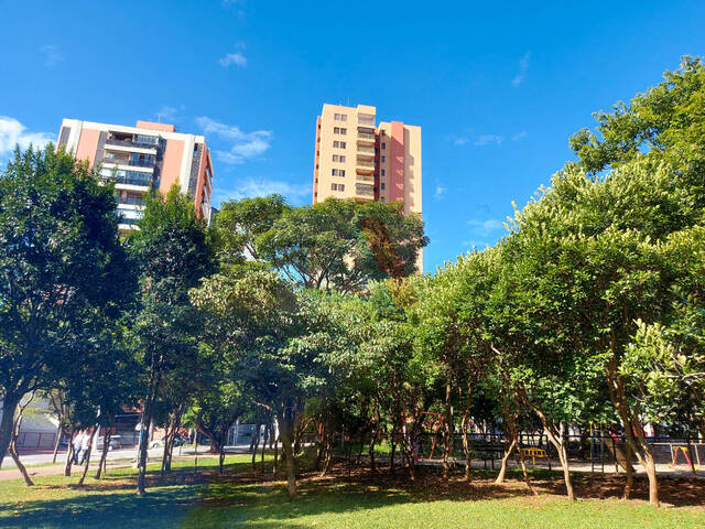 Apartamento para Locação em Santo André - 2