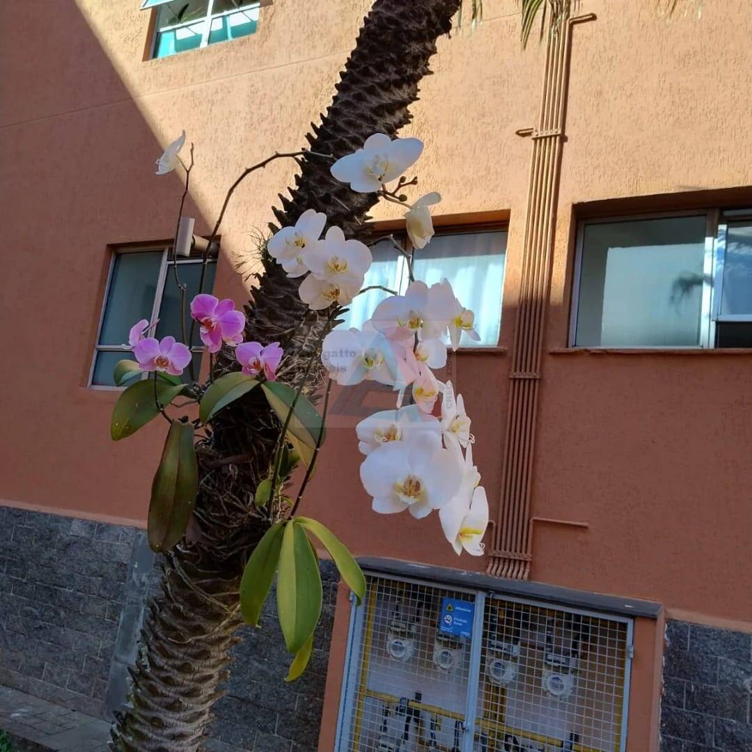 Apartamento, 2 quartos, 56 m² - Foto 16